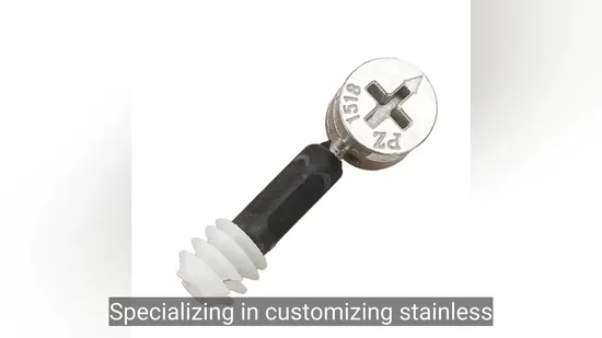 The Manufacturer Supplies Furniture Screws and Other Hardware Fasteners